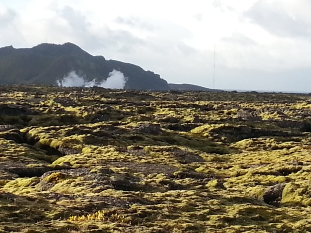 congealed lava flows covered in green moss