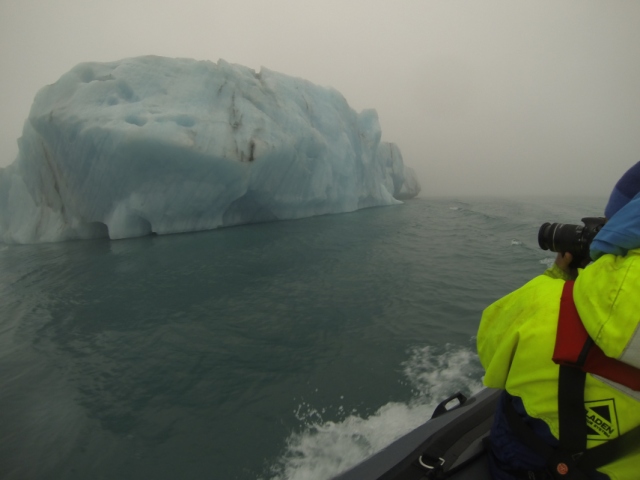 The Zodiac took us deep into the lagoon passing by giant blue icebergs 